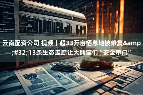 云南配资公司 视频｜超33万亩栖息地被修复 13条生态走廊让大熊猫们“安全串门”